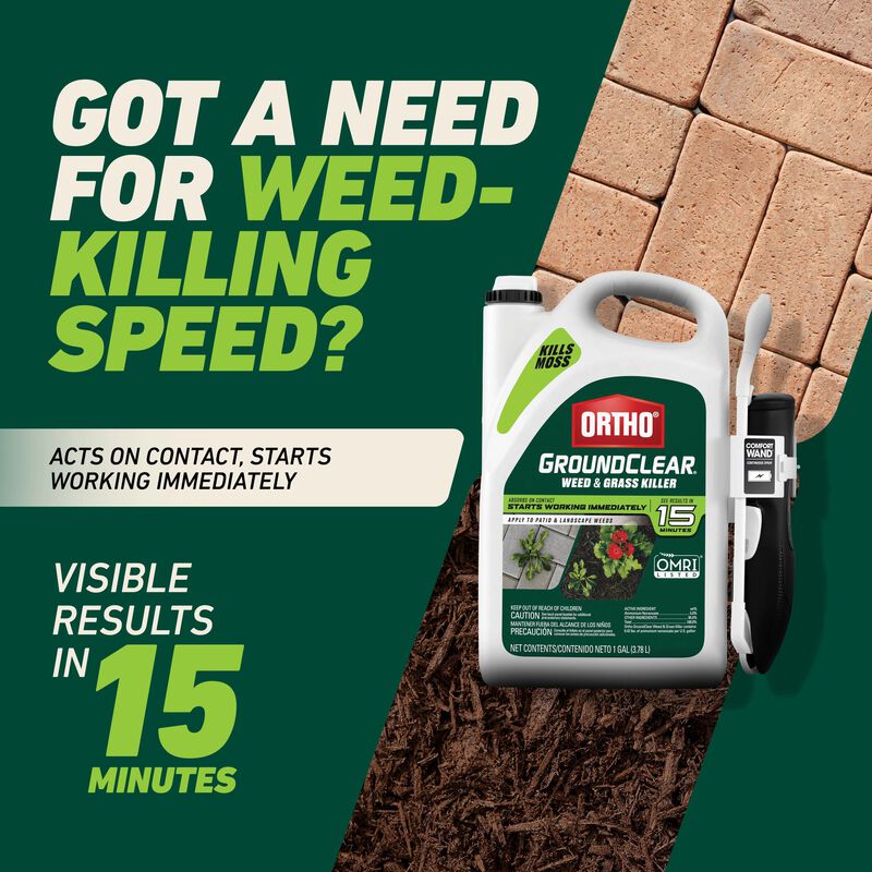 Ortho® GroundClear® Weed & Grass Killer with Comfort Wand® image number null